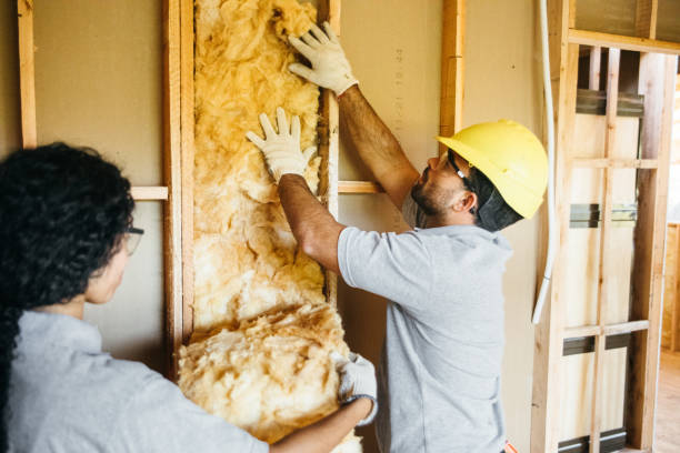 Soundproof Insulation Installation in Winfield, IN