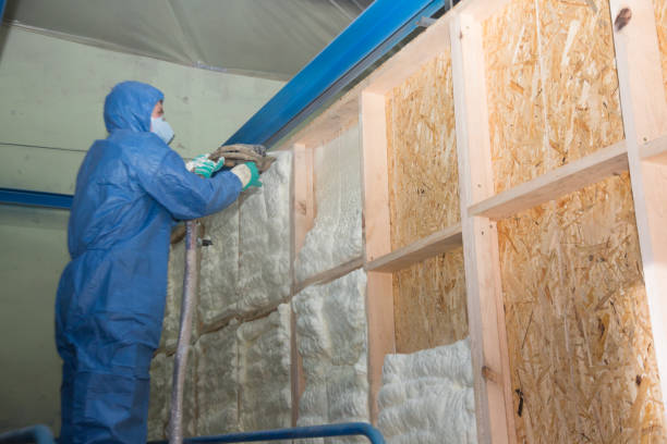 Best Insulation Replacement Services  in Wfield, IN